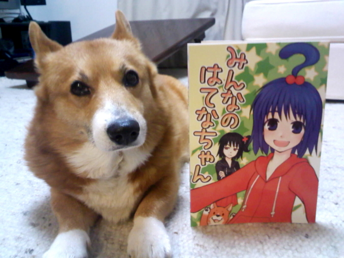 f:id:reikon:20100408224316j:image:w380