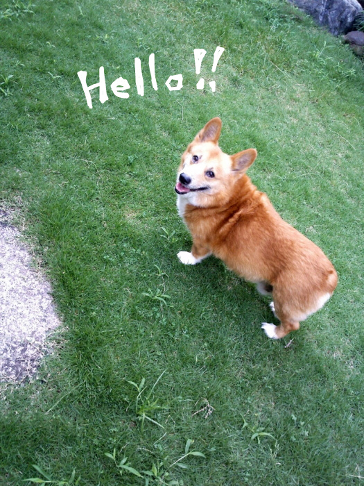 f:id:reikon:20100630091519j:image:h400