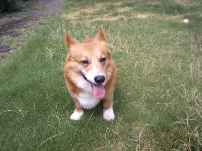 f:id:reikon:20100727090745j:image:w400