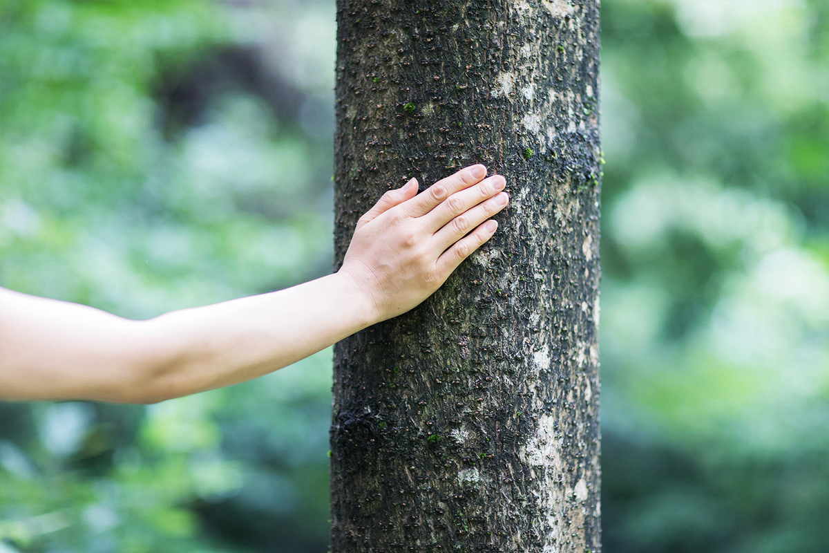 f:id:reikon:20211117231224j:plain