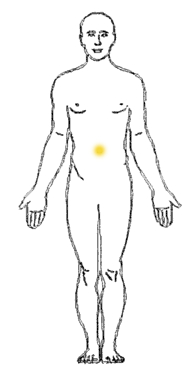 愛を込めた腹もみのすゝめーー自律神経 尊敬する太陽神経叢さま 見返りを求めないおなかのパーツたち 今世見聞録