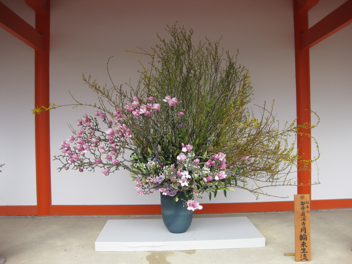 f:id:reikosannooheya:20200205214557j:plain f:id:reikosannooheya:20200205214557j:plain