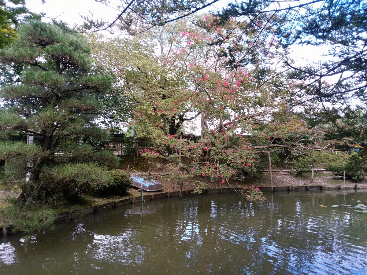 f:id:reikosannooheya:20200206180714j:plain f:id:reikosannooheya:20200206180714j:plain