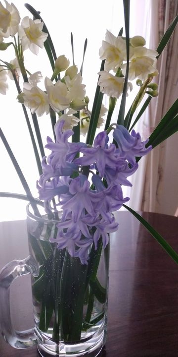 f:id:reikoshiratori:20210314122617j:plain