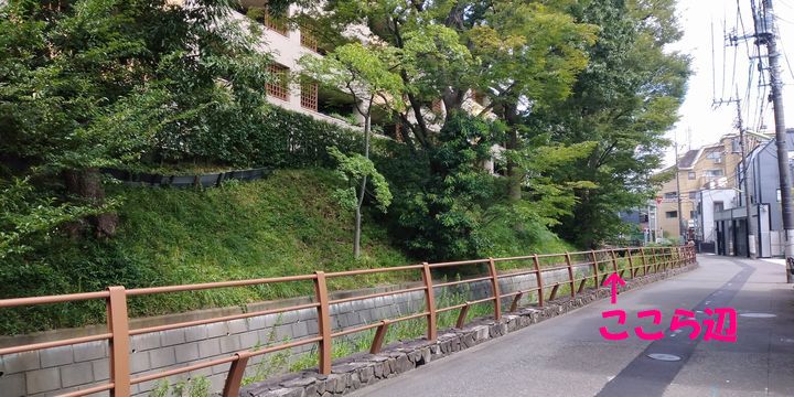 f:id:reikoshiratori:20210831110642j:plain