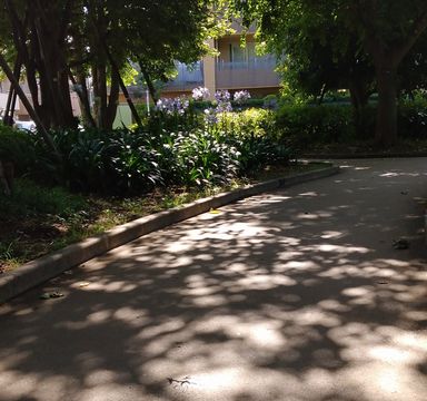 f:id:reikoshiratori:20210831181934j:plain
