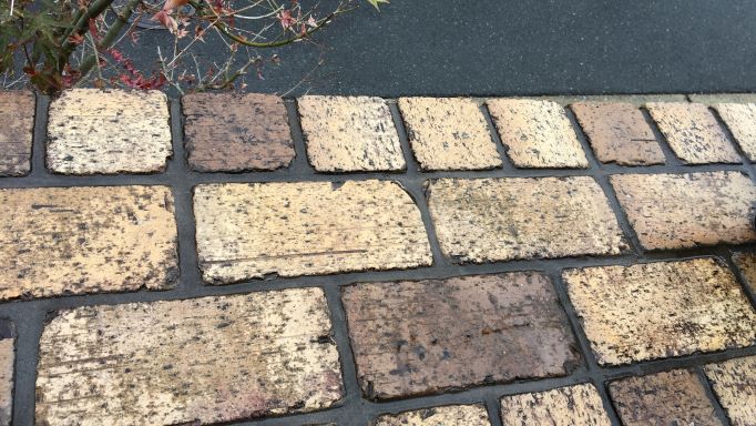 f:id:reikyonpp:20220409181812j:plain