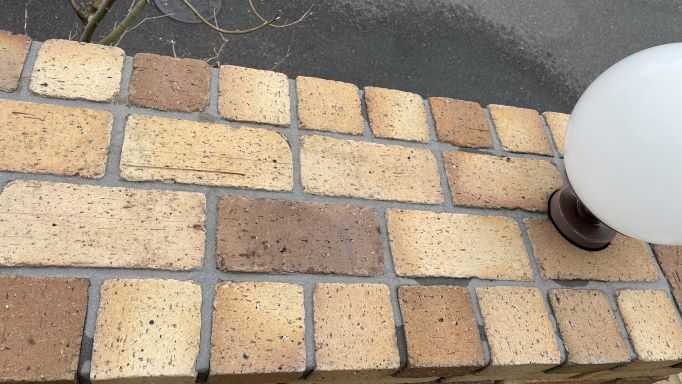 f:id:reikyonpp:20220409204040j:plain