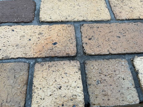 f:id:reikyonpp:20220409213533j:plain