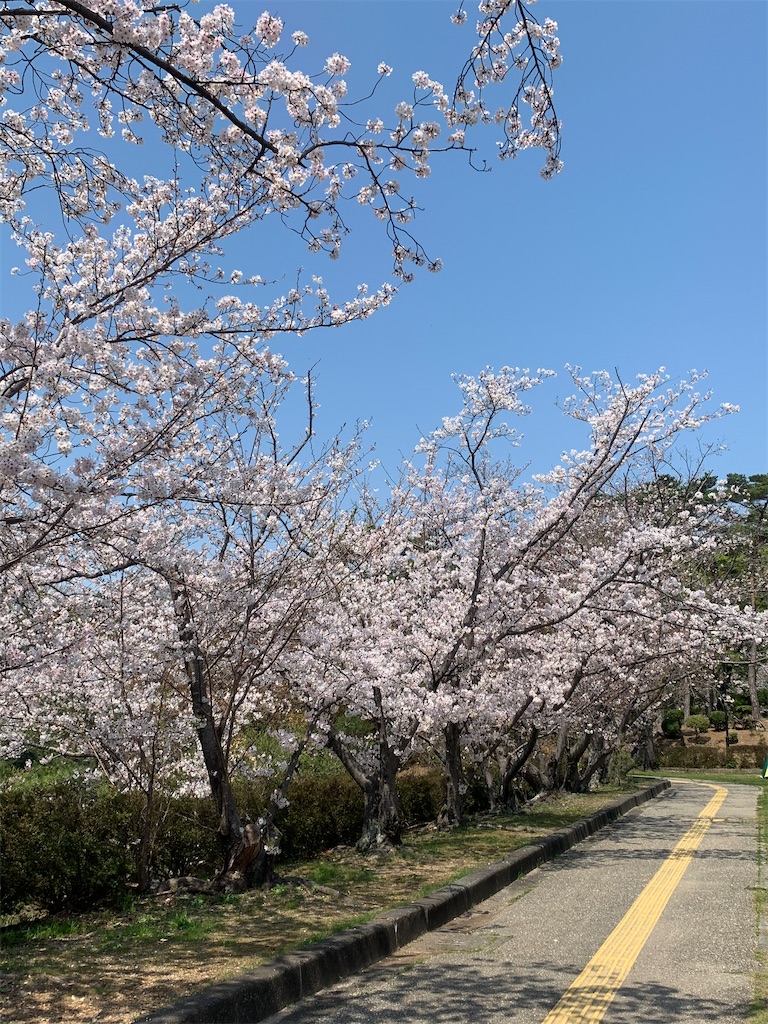 f:id:reimamachannel:20200404222755j:plain f:id:reimamachannel:20200404222755j:plain