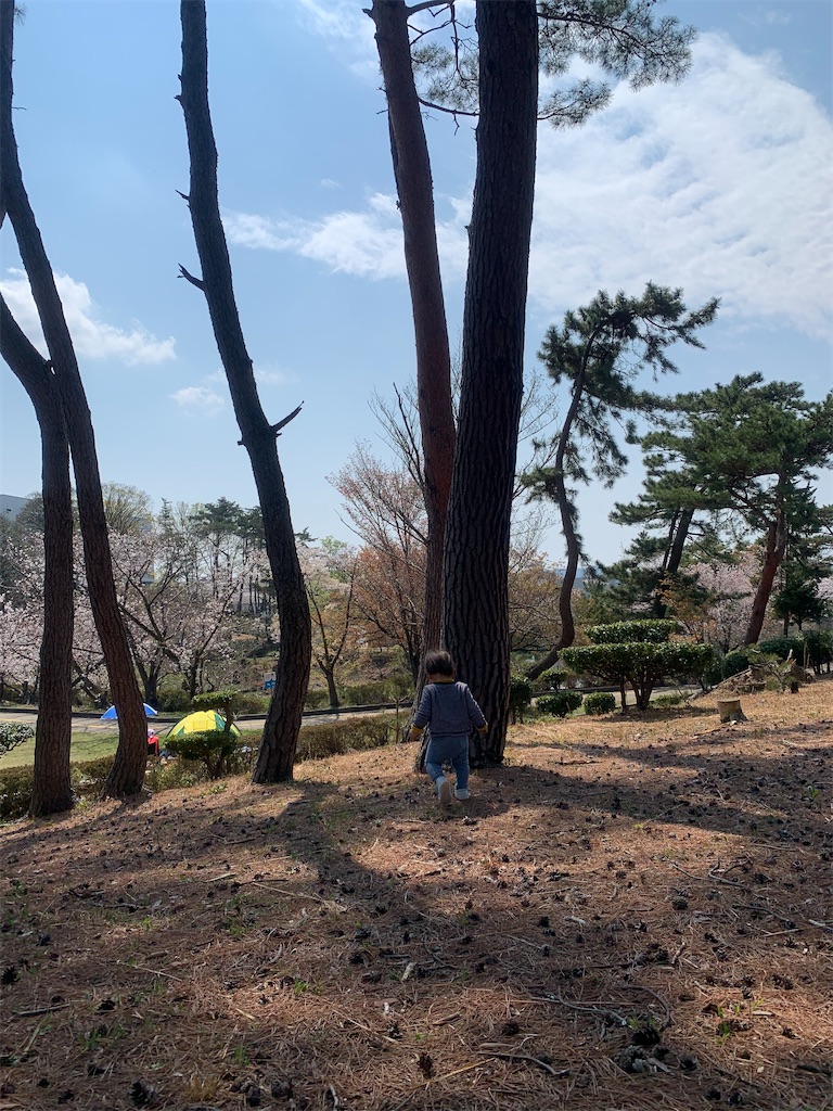 f:id:reimamachannel:20200404222817j:plain f:id:reimamachannel:20200404222817j:plain