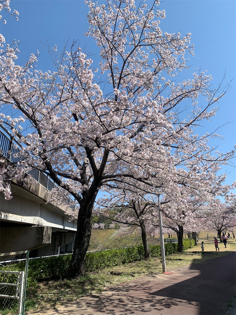 f:id:reimamachannel:20200405134719j:plain f:id:reimamachannel:20200405134719j:plain
