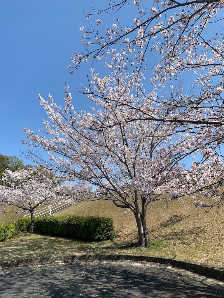 f:id:reimamachannel:20200405134733j:plain f:id:reimamachannel:20200405134733j:plain