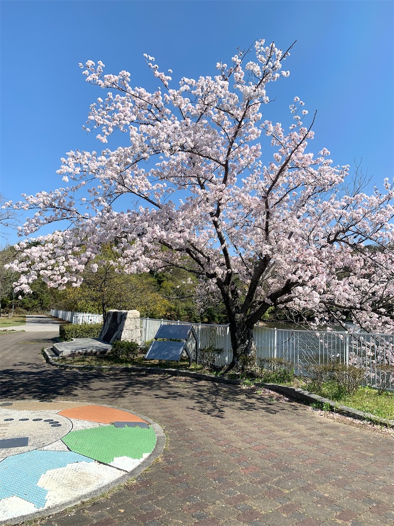f:id:reimamachannel:20200405134737j:plain f:id:reimamachannel:20200405134737j:plain