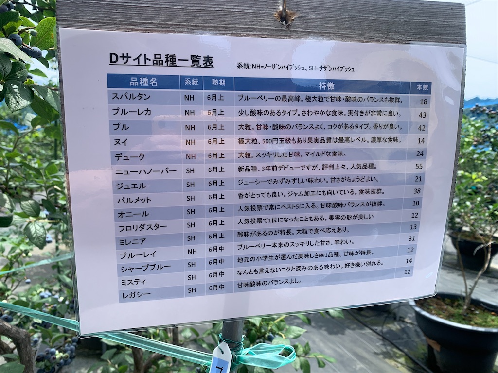 f:id:reimamachannel:20200622125156j:plain f:id:reimamachannel:20200622125156j:plain