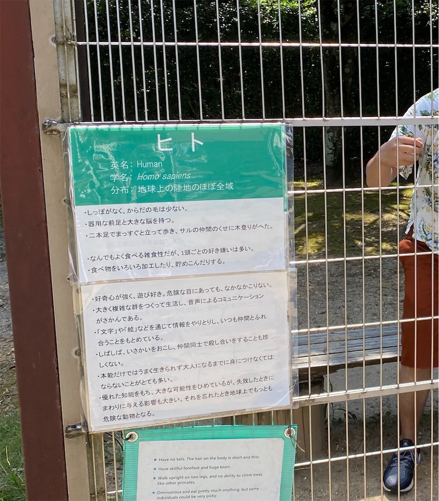 f:id:rein0420:20200906165608j:image f:id:rein0420:20200906165608j:image