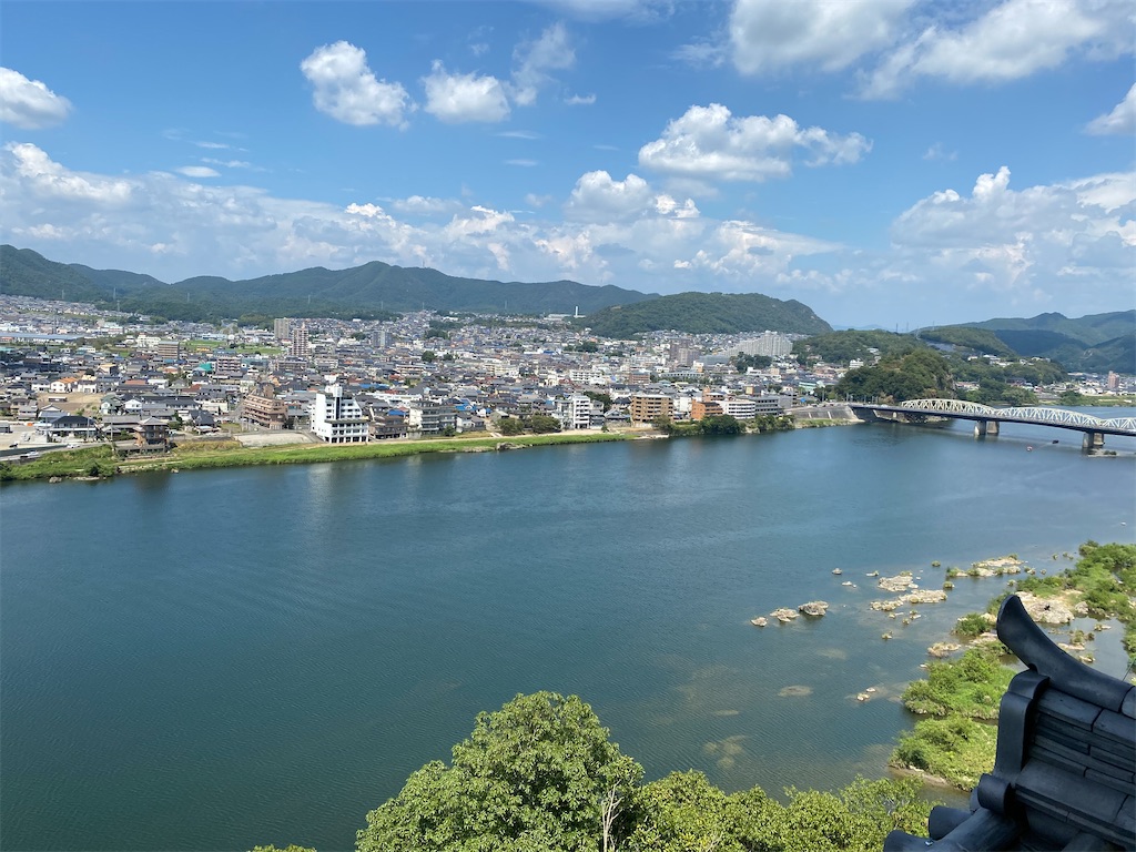 犬山旅行まとめ モンキーセンター 犬山城など一日の流れをまとめる レインの超雑記ブログ