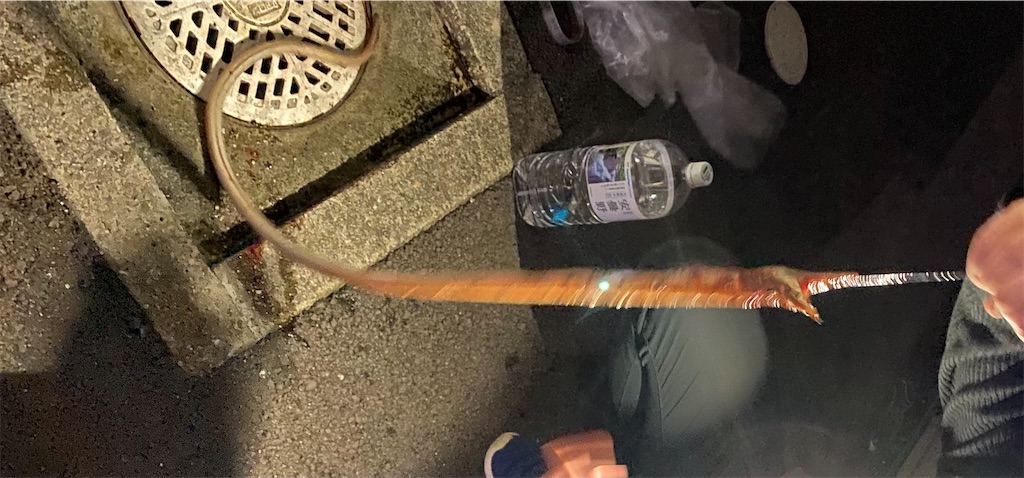 f:id:rein0420:20210318231018j:image f:id:rein0420:20210318231018j:image