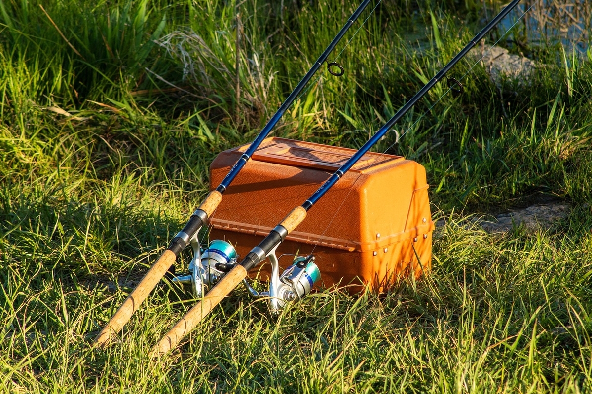 f:id:rein0420:20211214235143j:plain