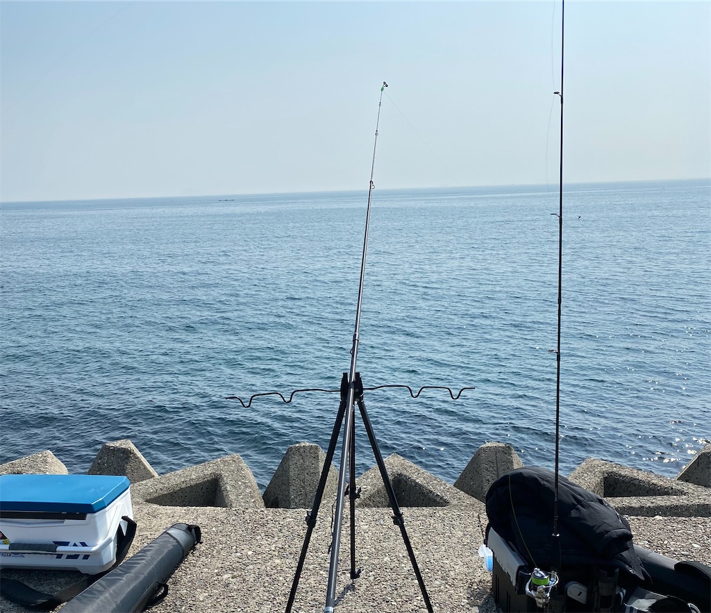 f:id:rein0420:20220326223745j:image