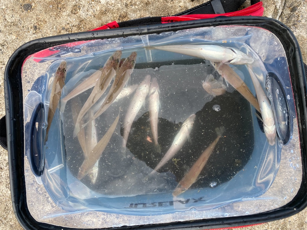 f:id:rein0420:20220815164301j:image