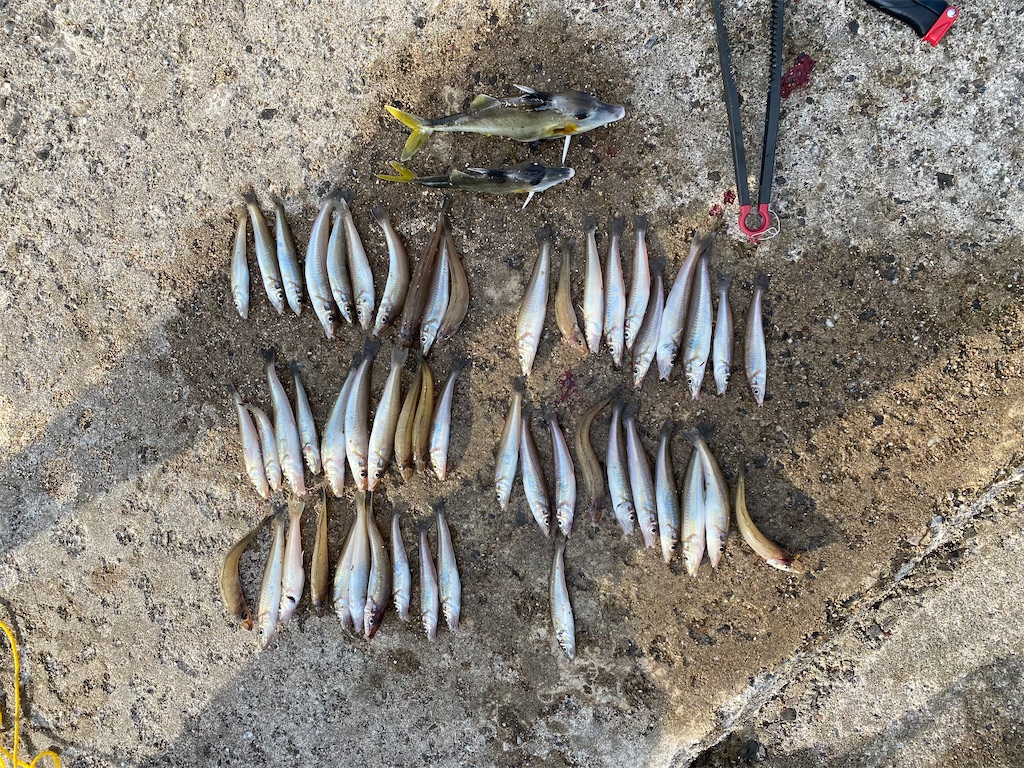 f:id:rein0420:20220815164438j:image