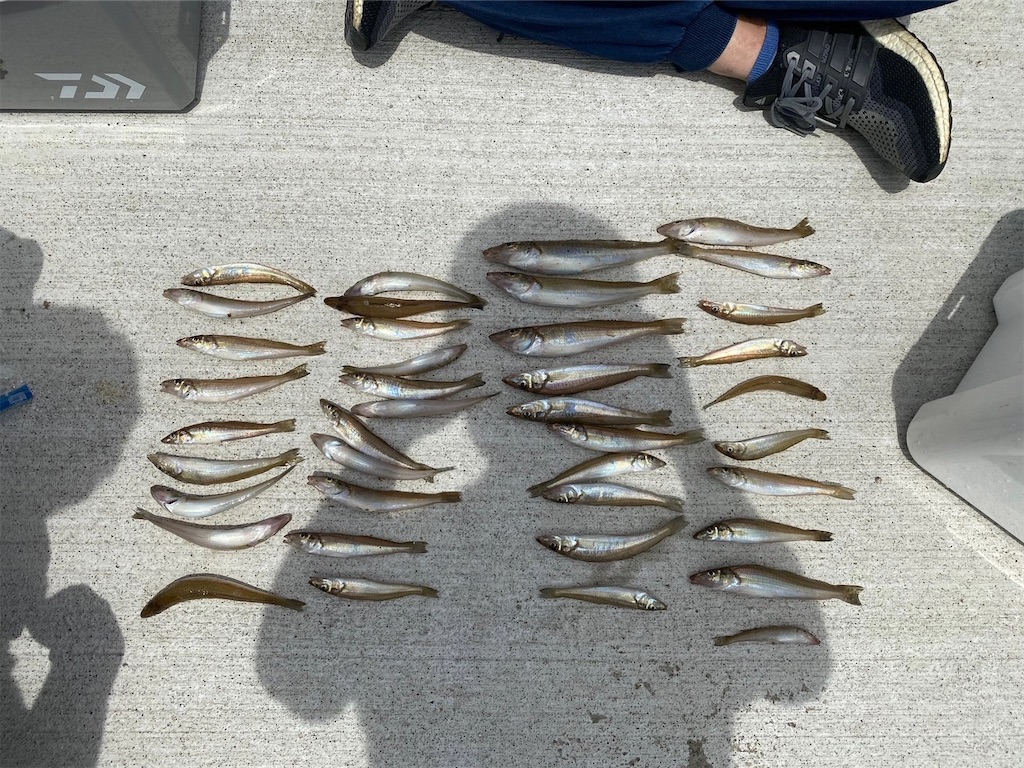 f:id:rein0420:20230729220541j:image f:id:rein0420:20230729220541j:image