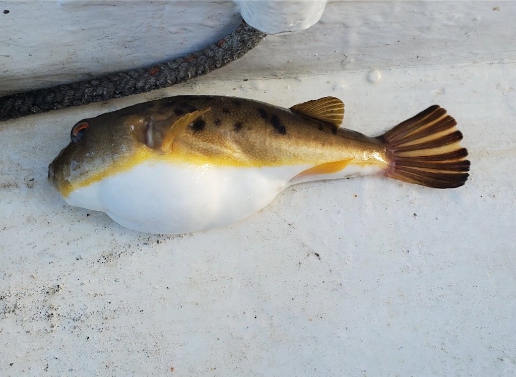 f:id:rein0420:20230801235940j:image f:id:rein0420:20230801235940j:image