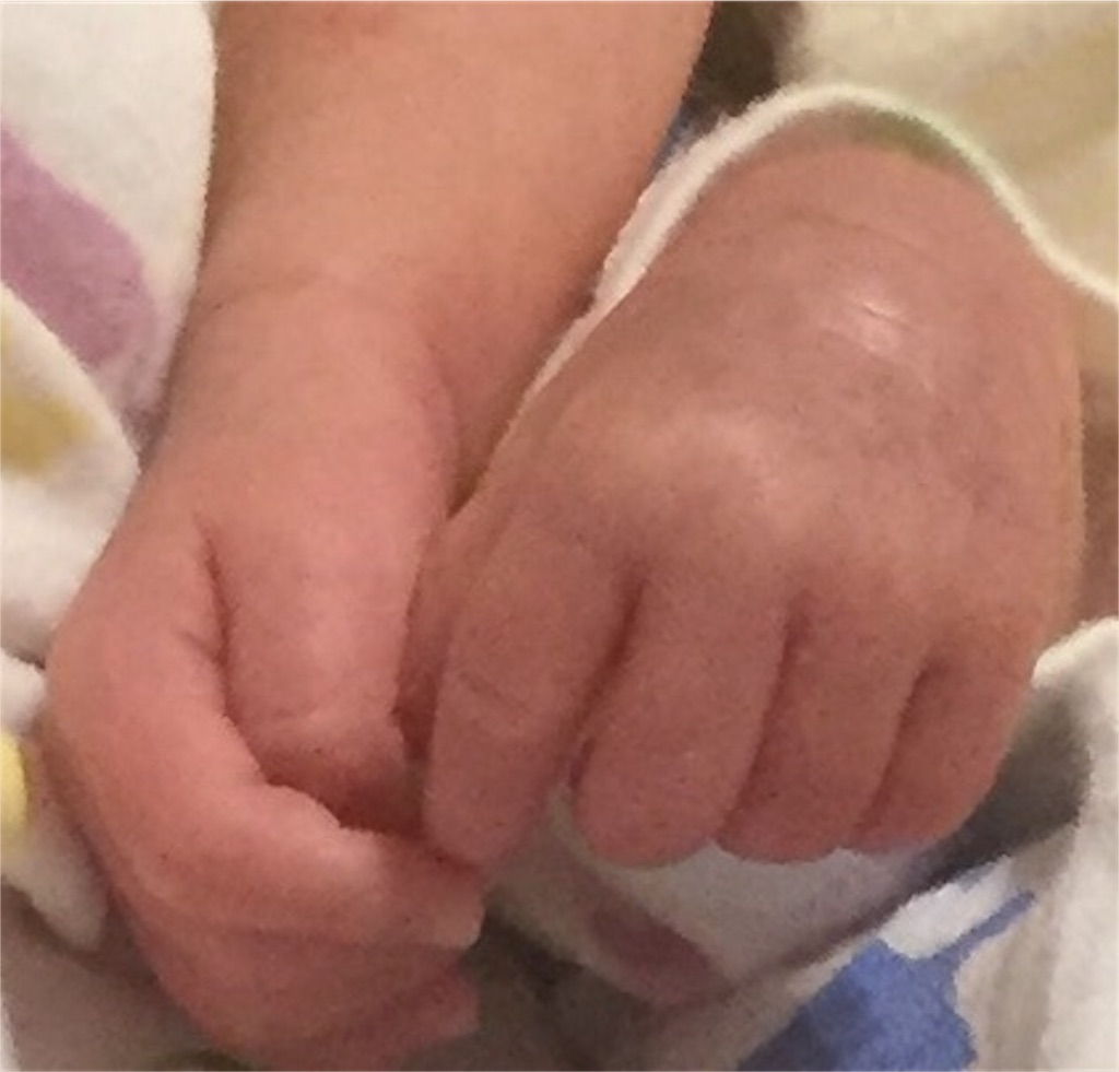 f:id:reina0000:20190730222156j:image