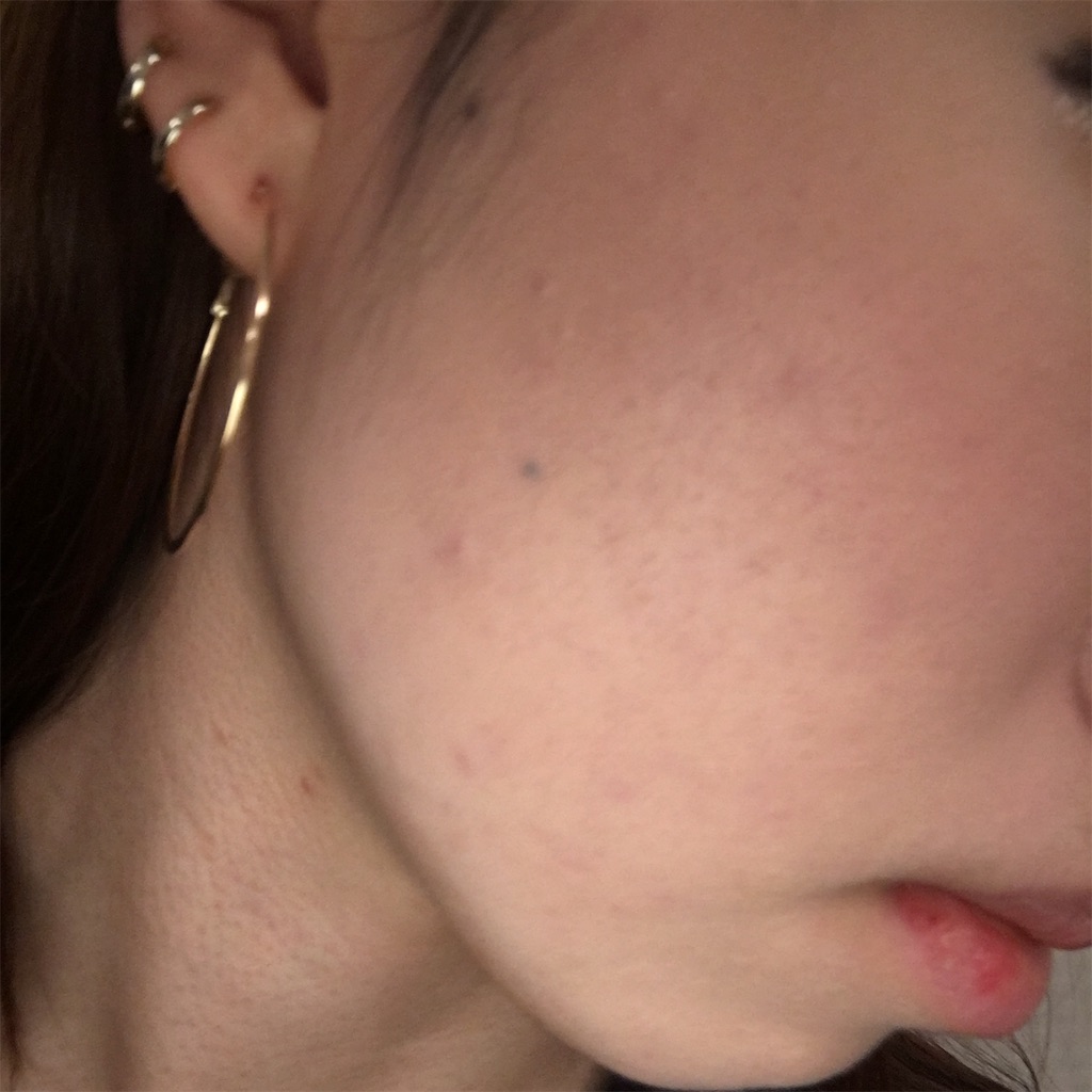 f:id:reina0927:20170209045213j:image