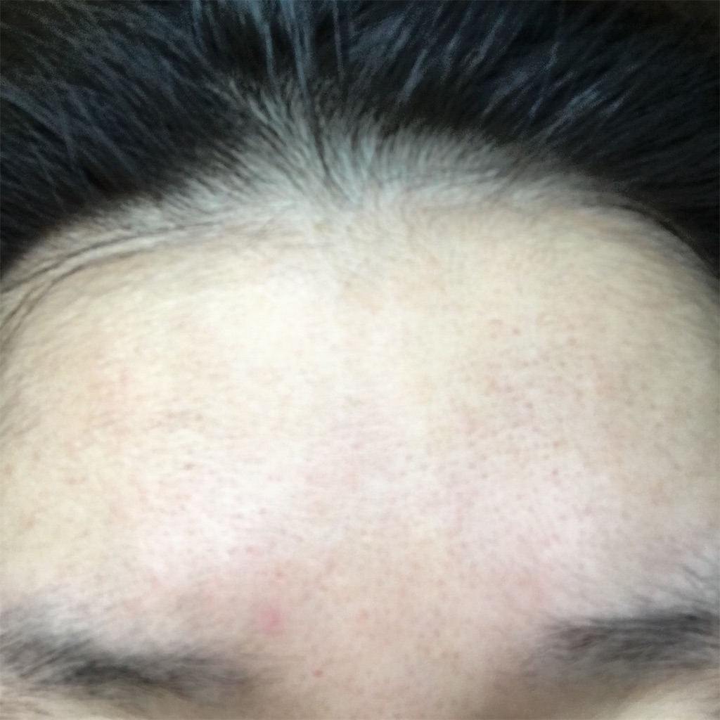 f:id:reina0927:20170210164044j:image