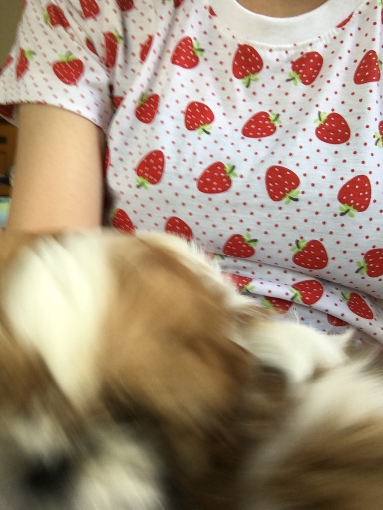 f:id:reinachu:20171017172632j:plain f:id:reinachu:20171017172632j:plain