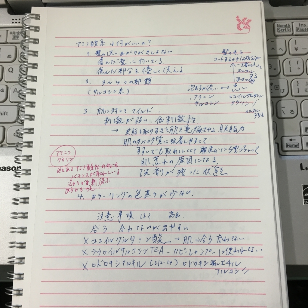 f:id:reinachu:20171018215402j:plain f:id:reinachu:20171018215402j:plain