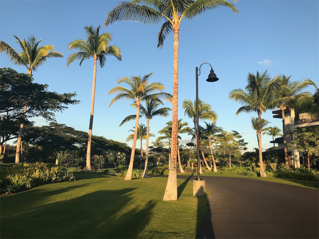 f:id:reinafreestyle:20190107161909j:image f:id:reinafreestyle:20190107161909j:image