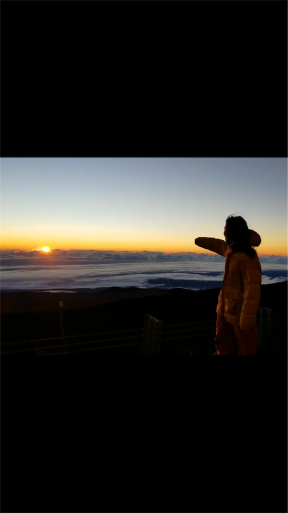 f:id:reinafreestyle:20190107162403p:image f:id:reinafreestyle:20190107162403p:image