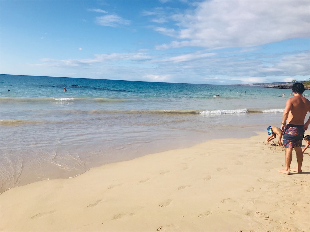 f:id:reinafreestyle:20190107162734j:image f:id:reinafreestyle:20190107162734j:image