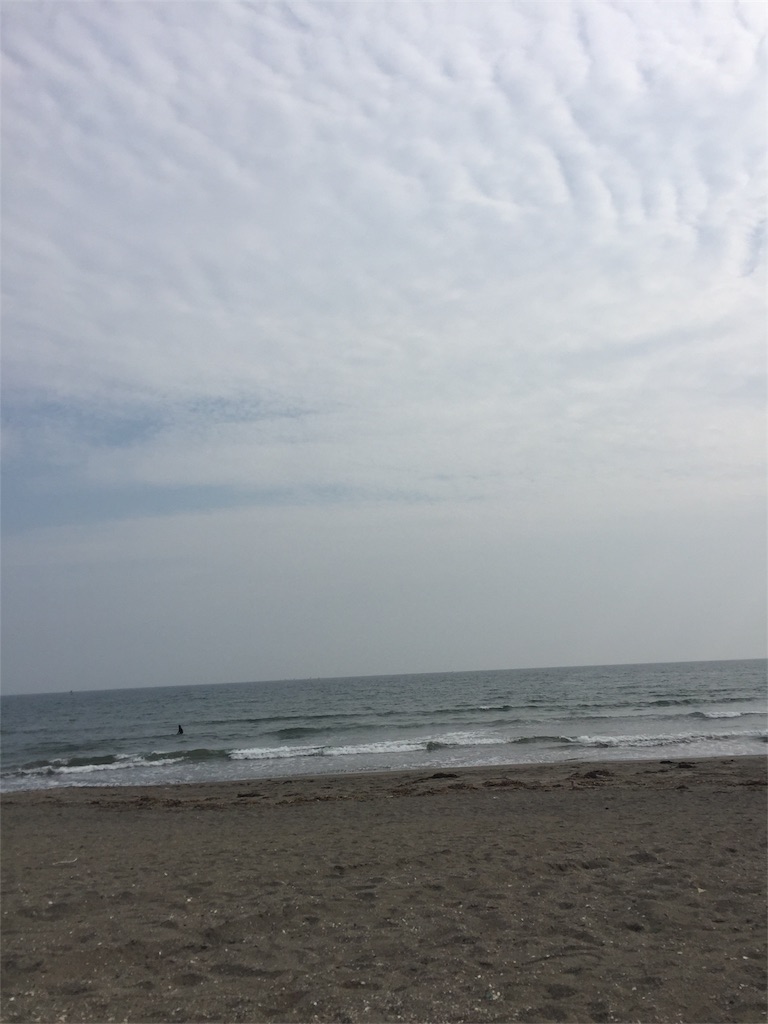 f:id:reinanegi:20170512150938j:image f:id:reinanegi:20170512150938j:image