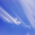 [空 イマソラ 青空 朝 雲 ] きれいな青空