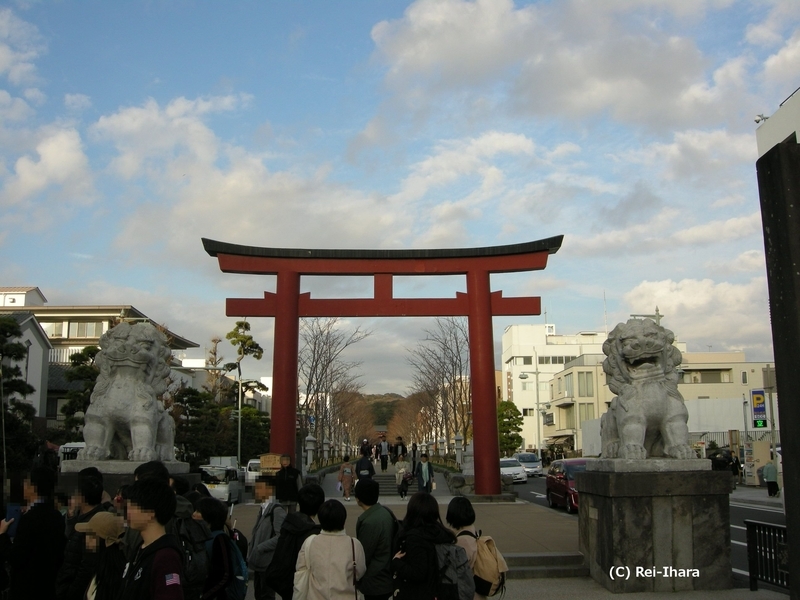 鶴岡八幡宮　若宮大路　段蔓の鳥居