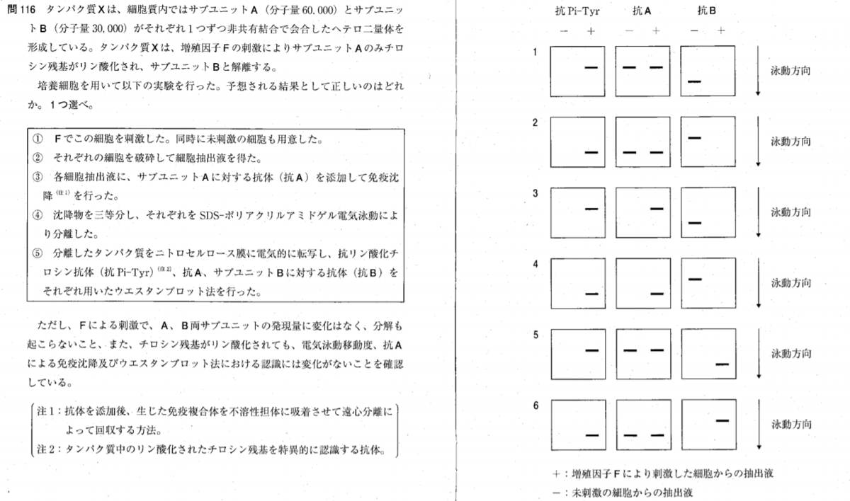 f:id:reiryuuxxx:20200301184034p:plain