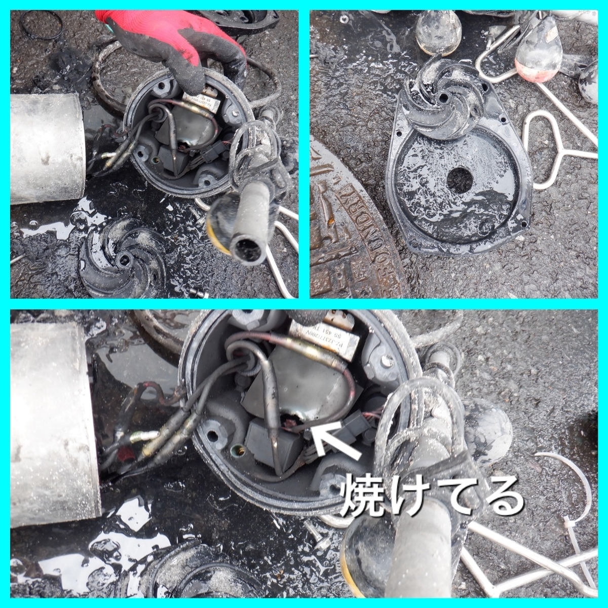 f:id:reishinneng:20220129171309j:plain