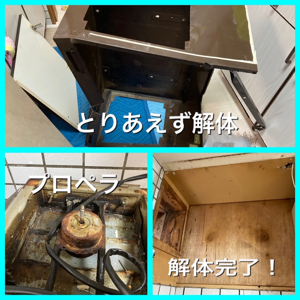 f:id:reishinneng:20220202181629j:plain