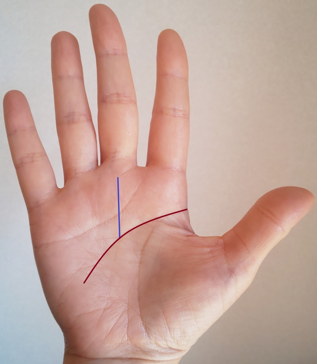 f:id:reishu-takama:20210226161104j:plain