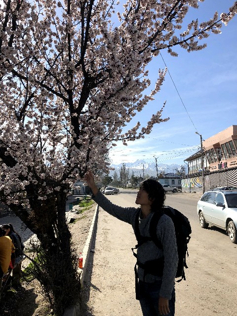 f:id:reitabibito:20190505002753j:image f:id:reitabibito:20190505002753j:image