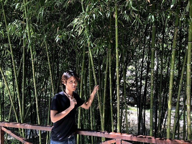 f:id:reitabibito:20190522202042j:plain f:id:reitabibito:20190522202042j:plain