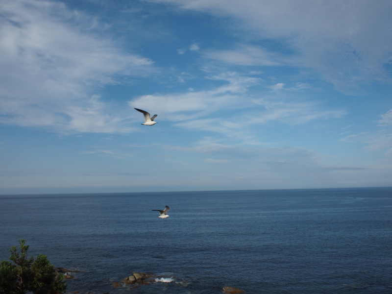 f:id:reitan25:20110718170214j:image