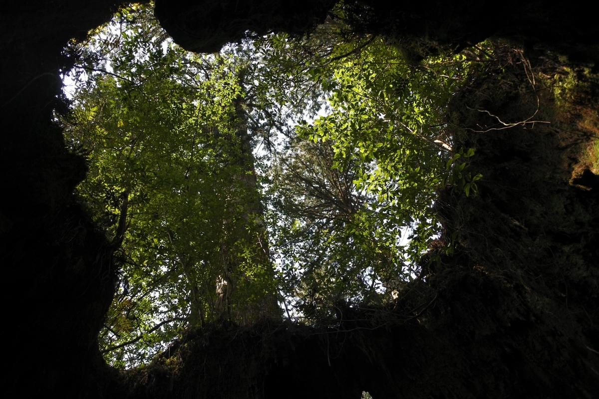 f:id:reiwa-tsuredure:20191003200340j:plain f:id:reiwa-tsuredure:20191003200340j:plain