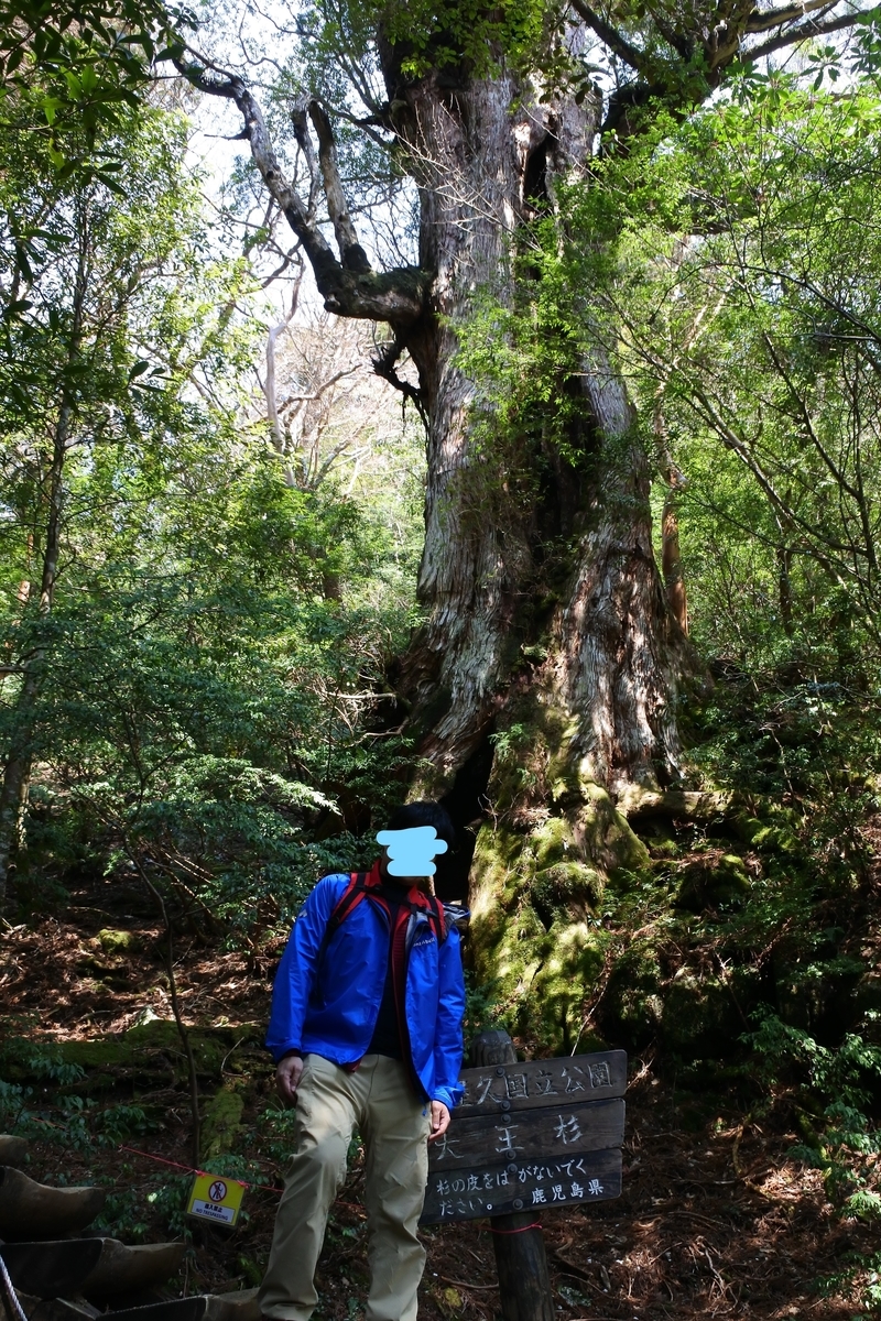 f:id:reiwa-tsuredure:20191003201340j:plain f:id:reiwa-tsuredure:20191003201340j:plain