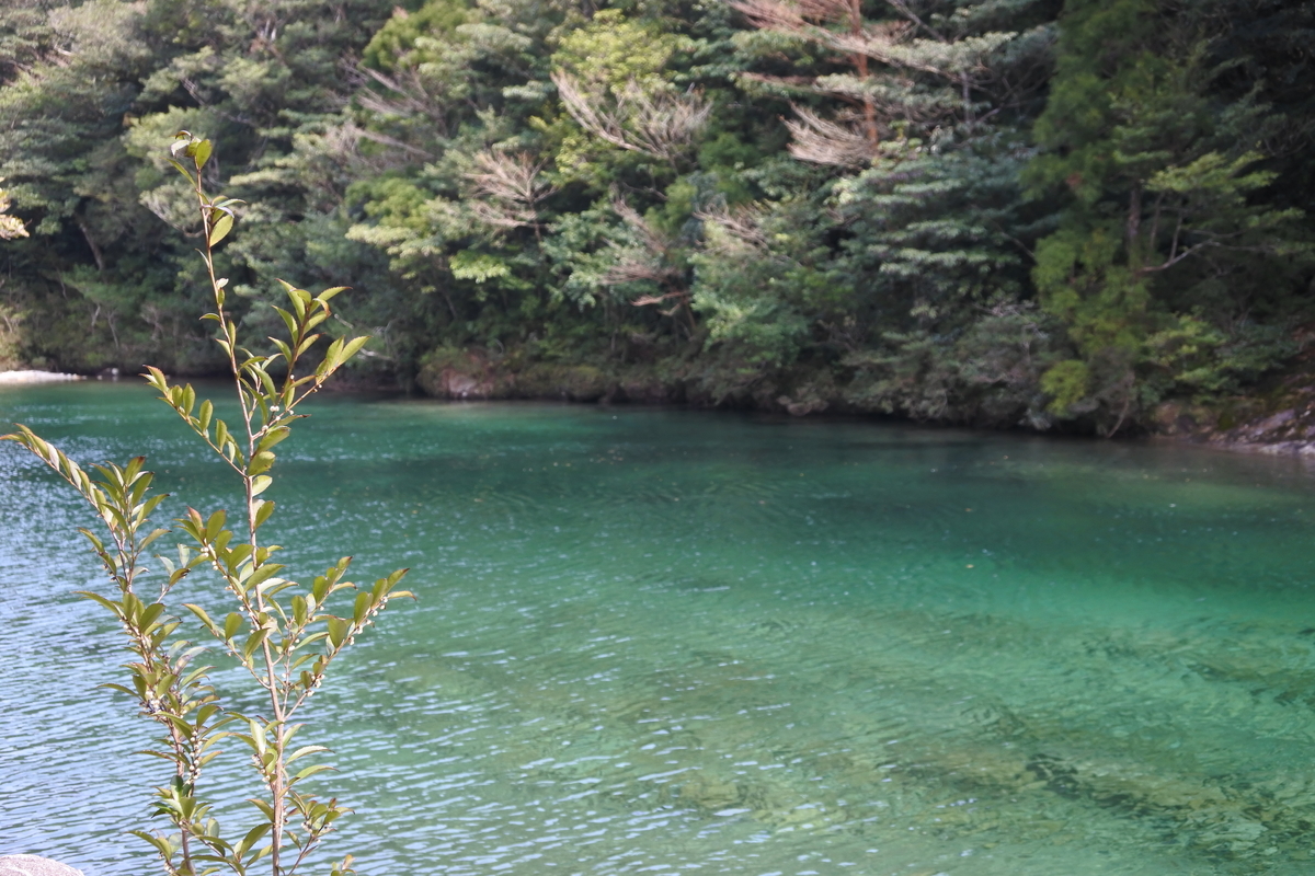 f:id:reiwa-tsuredure:20191003202044j:plain f:id:reiwa-tsuredure:20191003202044j:plain