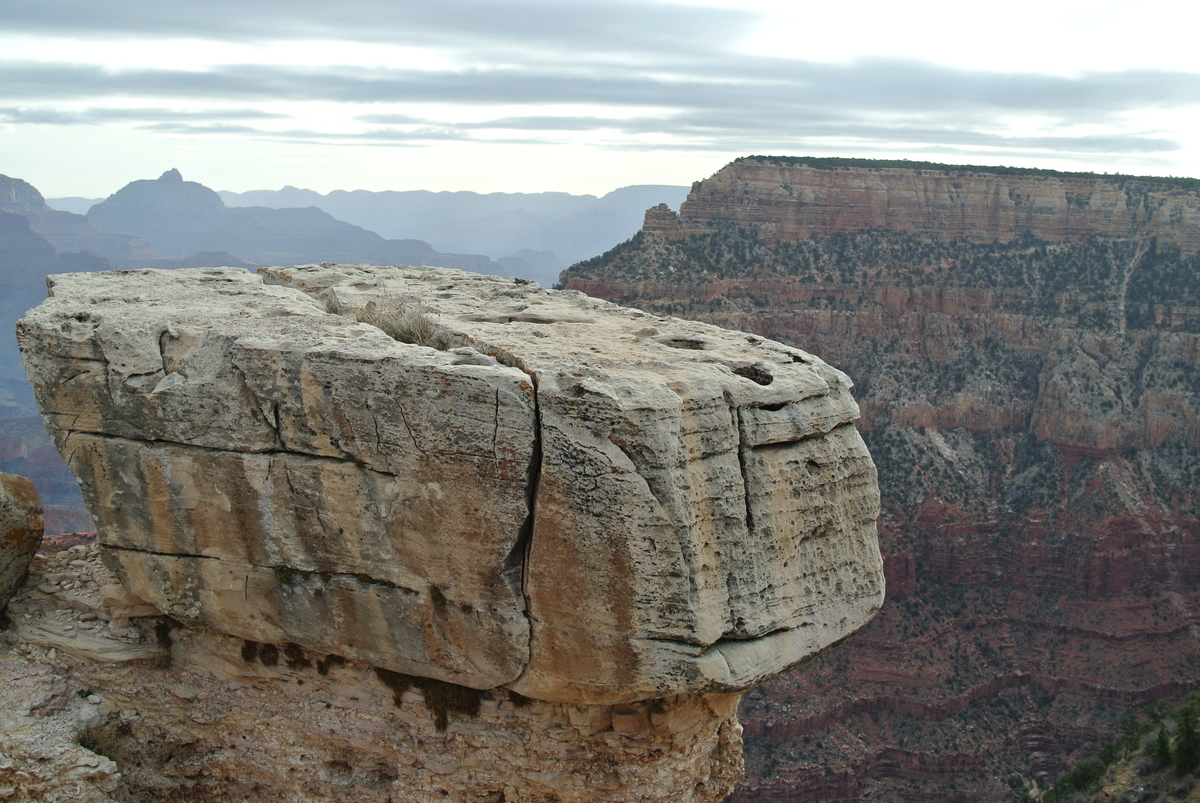 f:id:reiwa-tsuredure:20200328095459j:plain